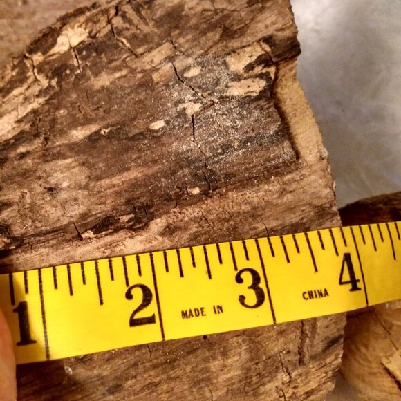 Two Small Real Wood Tree Stumps Fairy Garden Gnome Village Rustic Accent - Picture 8 of 11